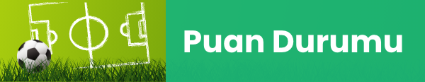 puanbuyuk